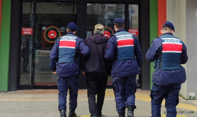 Fındık hırsızlığı şüphelisi JASAT’a yakalandı